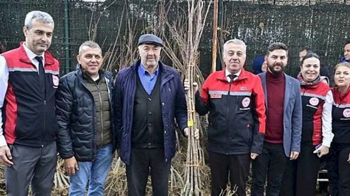 İzmirli Kestane Üreticilerine Kestane Gal Arısına Dayanıklı 2 bin 620 Fidan Dağıtıldı
