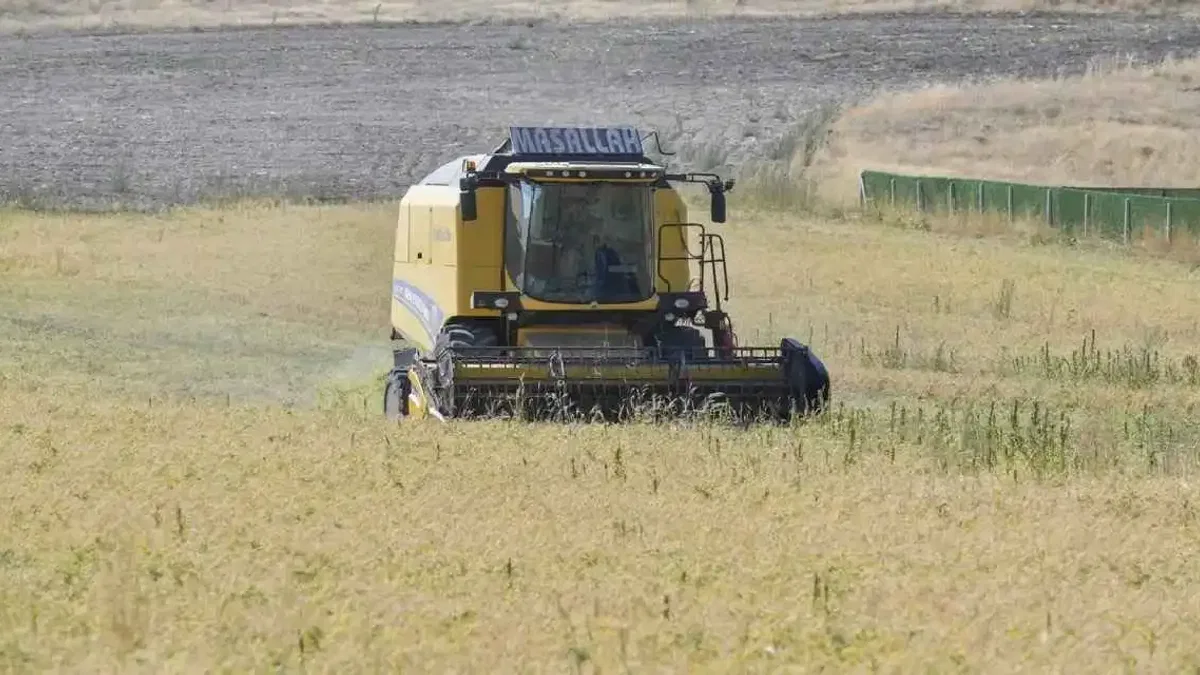 Ankara’da sertifikalı nohut hasadı başladı