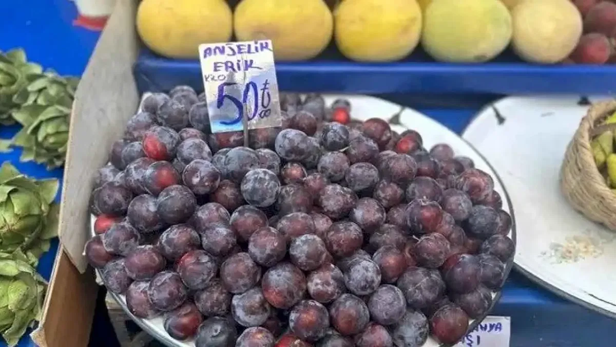 Kırmızı erik tezgahlara giriş yaptı