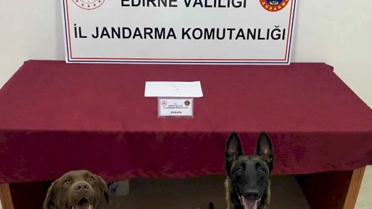 Edirne'de sürücüye kokainden adli işlem