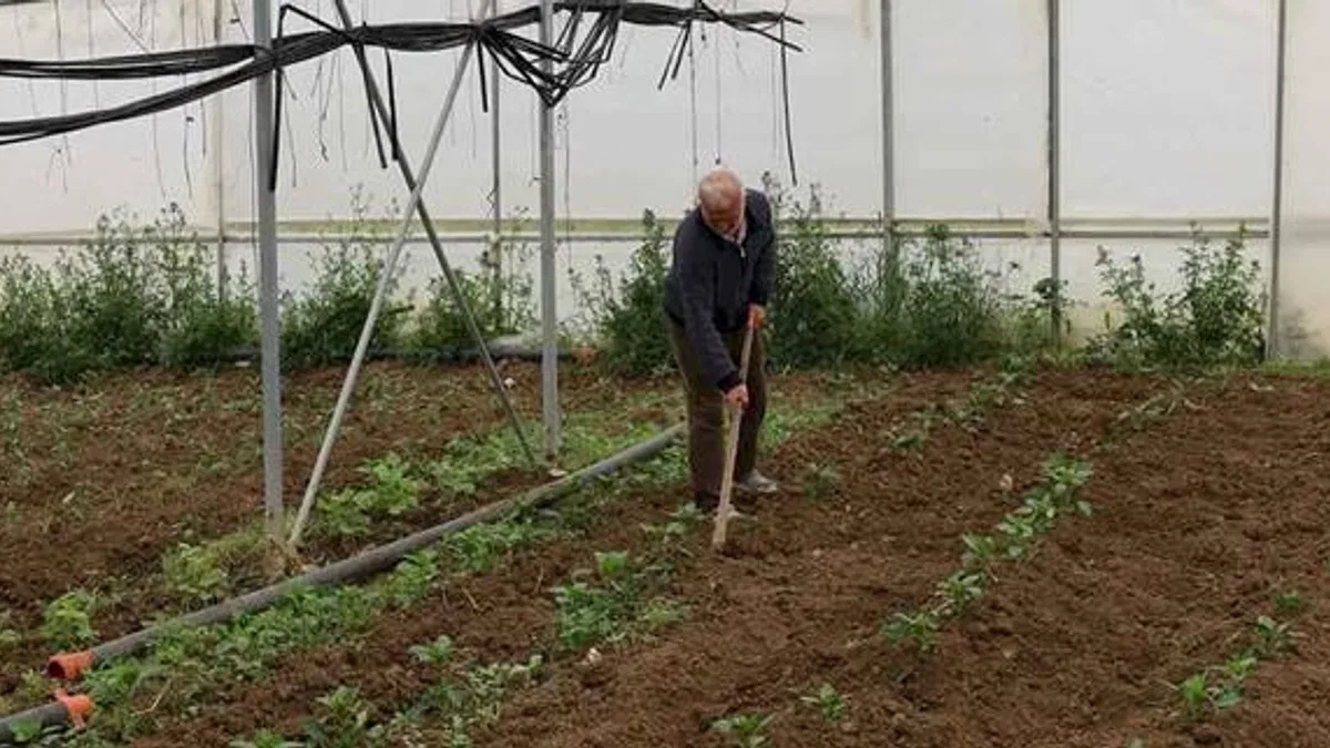 Kocaeli’nde üreticilere yüzde 50 hibeli modern sera desteği