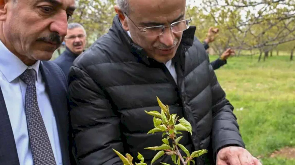 Malatya'da zirai dondan etkilenen çiftçilere ziyaret