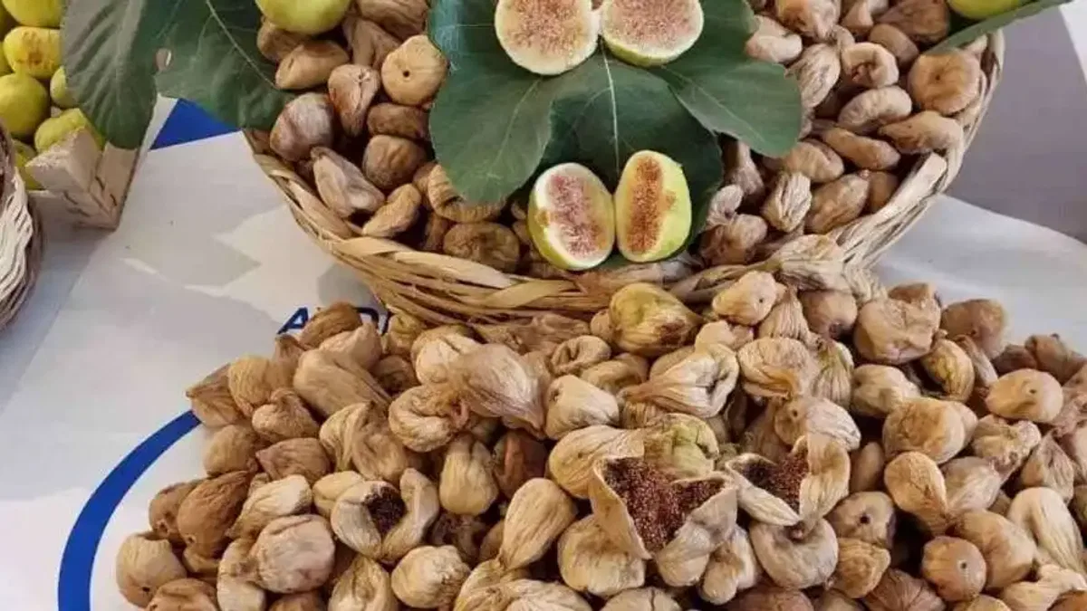 Kuru incir ihracatında tarihi rekor