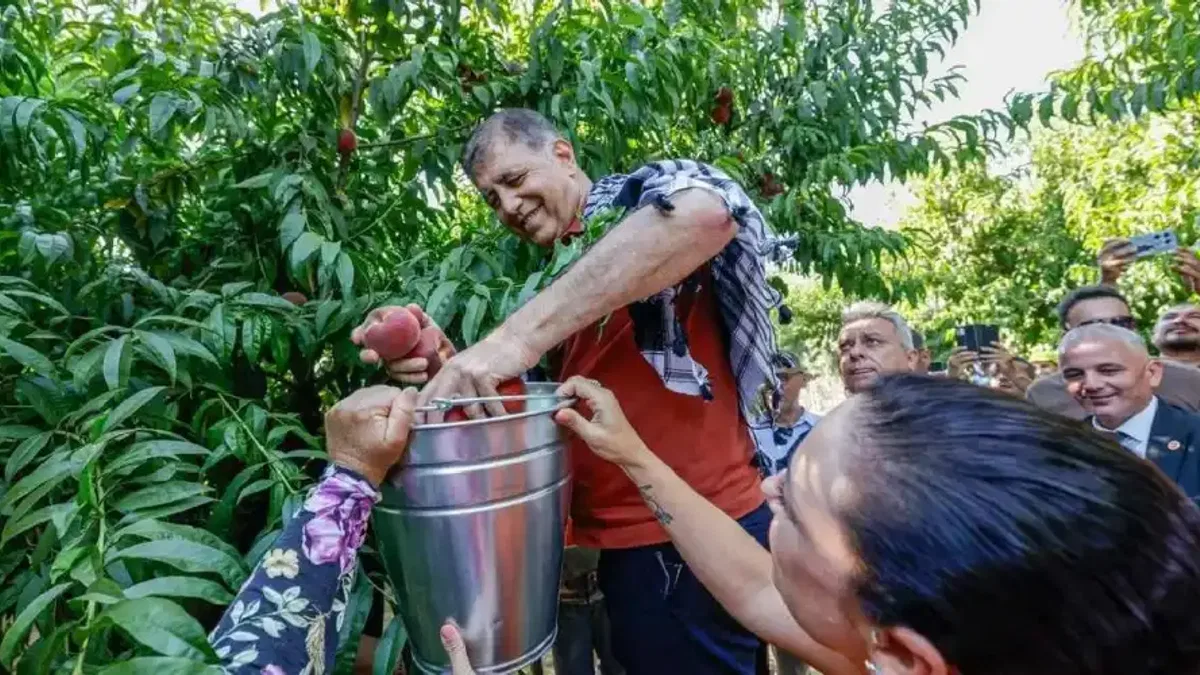 İzmir Selçuk’ta Şen Şeftali Şenliği üreticiye umut oldu