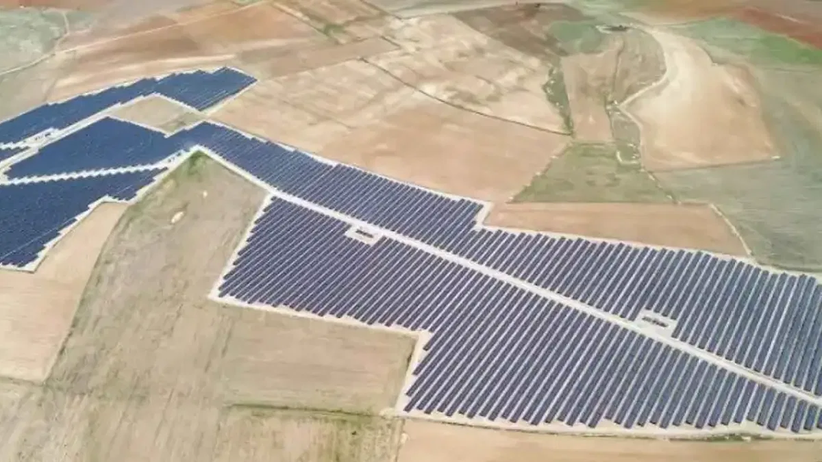 GES yatırımları yılda 900 binin üzerinde ağacı kazandıracak