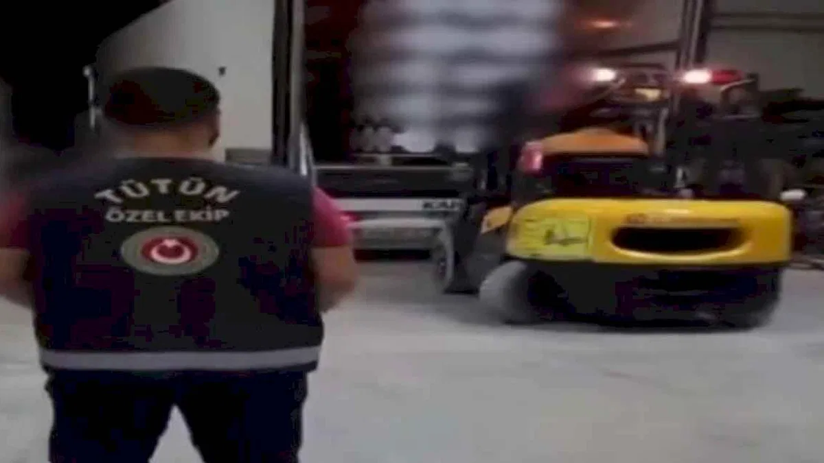 Mersin'de 14,5 milyon dal makaron ele geçirildi