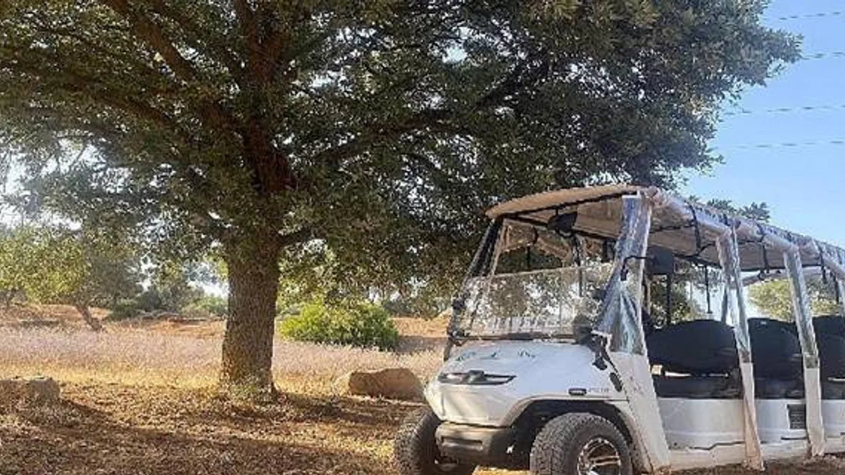 Olivelo Yaşayan Park'ta safari turları yarın başlıyor
