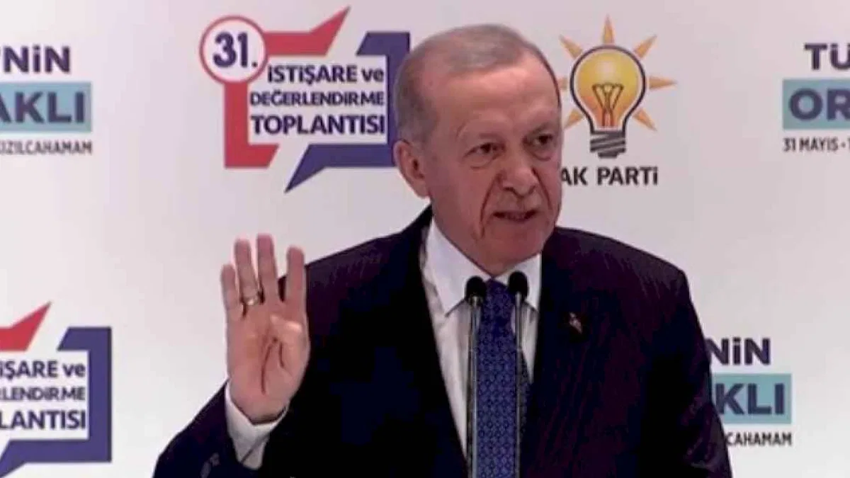 Cumhurbaşkanı Erdoğan: Terör bataklıklarını kurutacağız