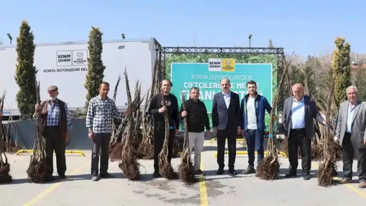 Konya Büyükşehir tarımsal kalkınma için bu sezon 72 bin meyve fidanı dağıtıyor