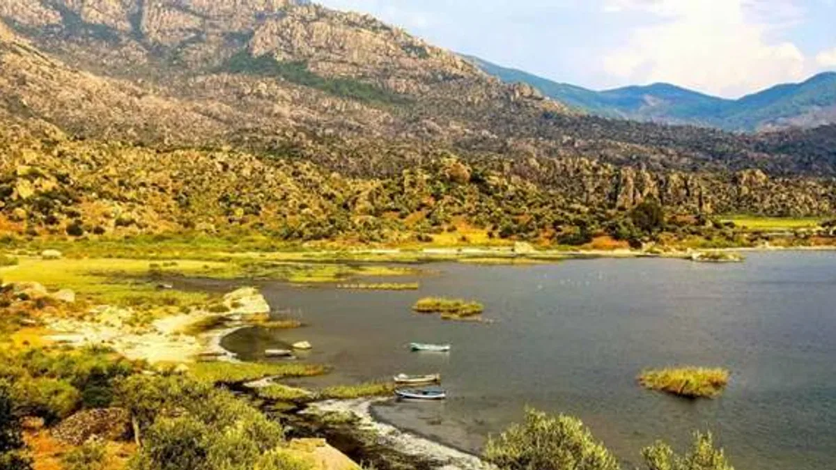 Proje Evi Kooperatifi'nden evrensel imza
