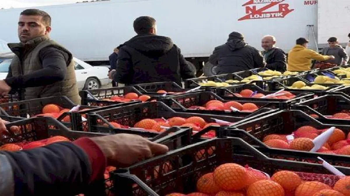 Mersin'den 24 ton narenciye desteği