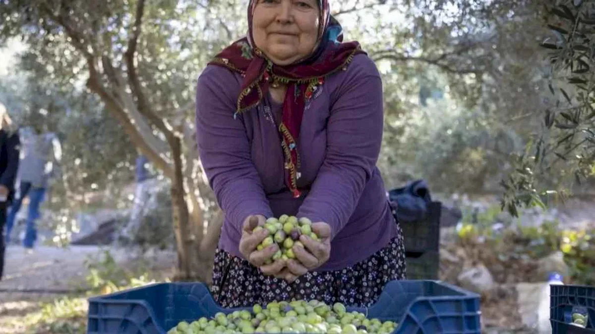 Mersin’de kadın eli toprağa değer katıyor