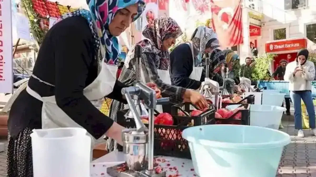 Bilecik nar şenliği ile renklendi