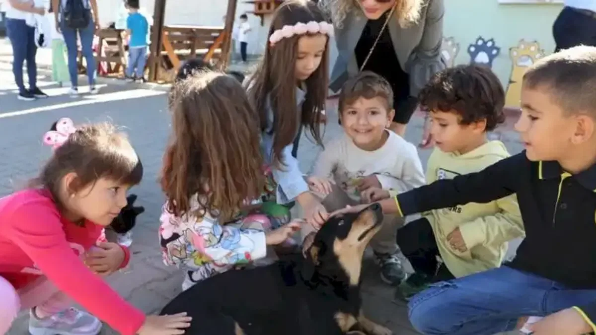 Muğla Büyükşehir 4 bin 34 cana yuva oldu