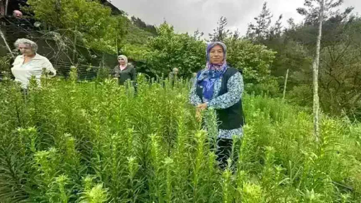 Adana'da 'Ak Zambak'la kadın üretimi ve istihdama katkı