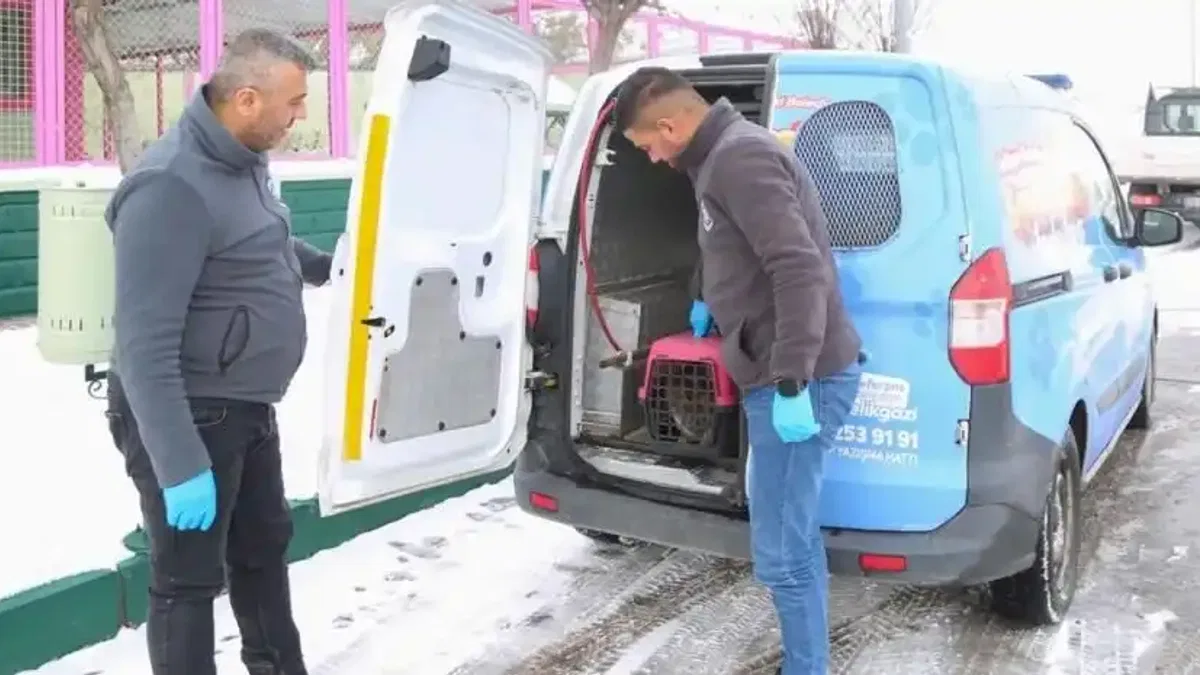 Kayseri Melikgazi'nin 'Sevimli Dost Ambulansı' boş durmadı