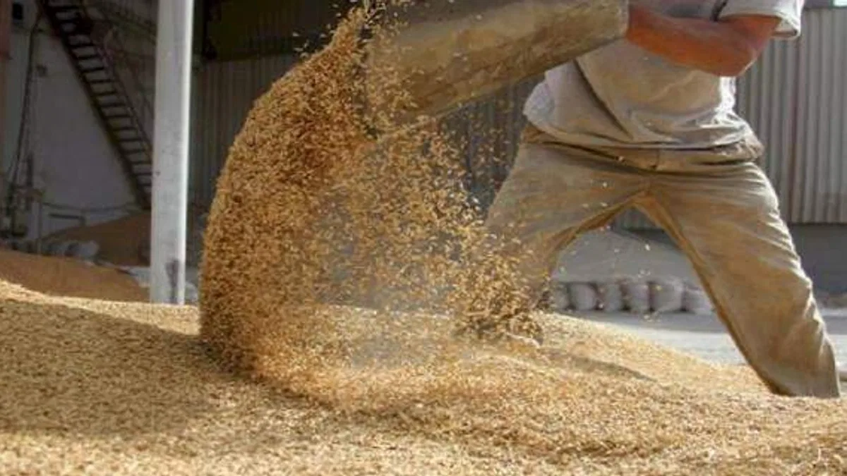 İhracatın yüzde 46'sı hububat bakliyat yağlı tohumlardan