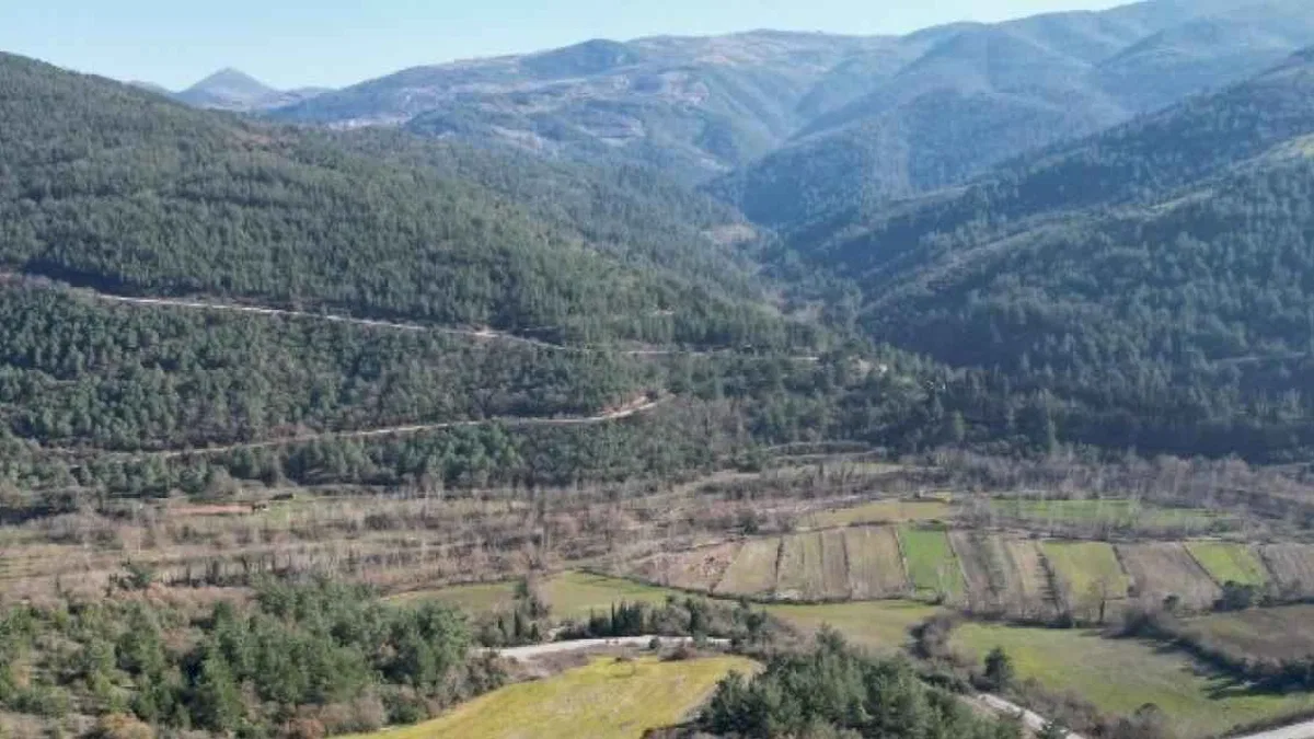 Arsalar yükselen değer olmayı sürdürüyor