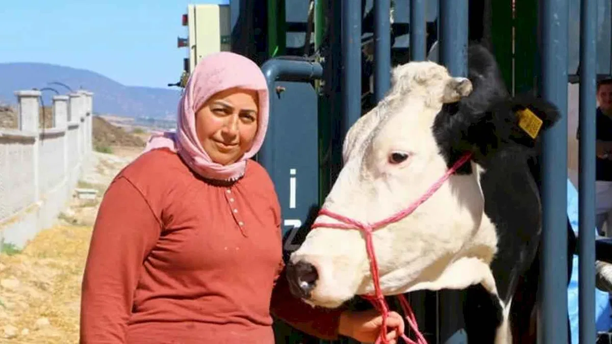 Antalyalı hayvan üreticisine belediyeden destek