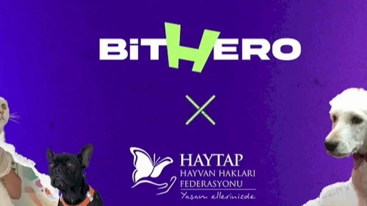 Haytap ve BitHero Kripto güçlerini birleştirdi