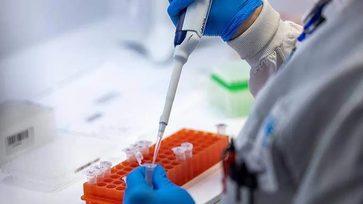 DSÖ, gelecekte salgınlara neden olabilecek patojenlerin listesini belirleyecek