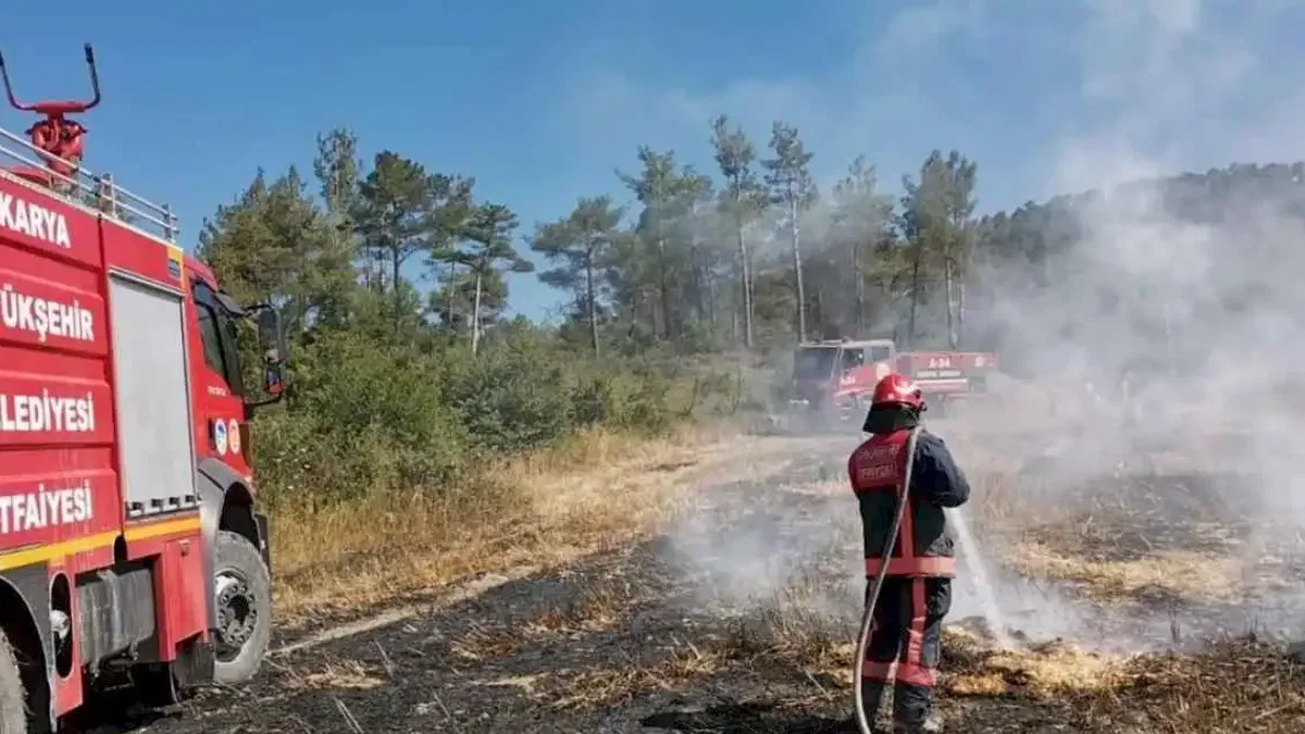 Sakaryalı ateş savaşçılarının zorlu 4 günü