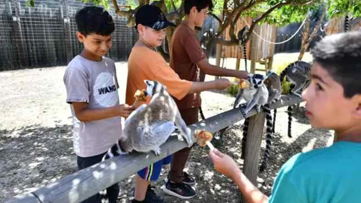 İzmir'de Doğal Yaşam Parkı öğrencilere ücretsiz olacak