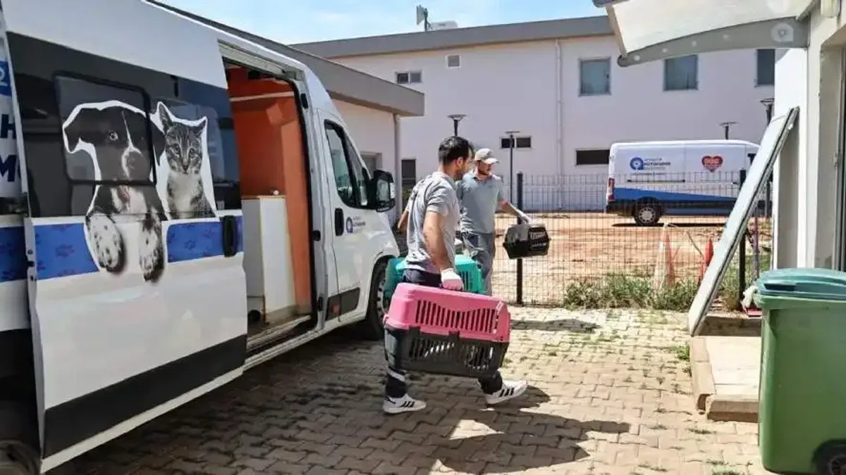 Antalya’da hayvan ambulansı can dostların imdadına yetişiyor