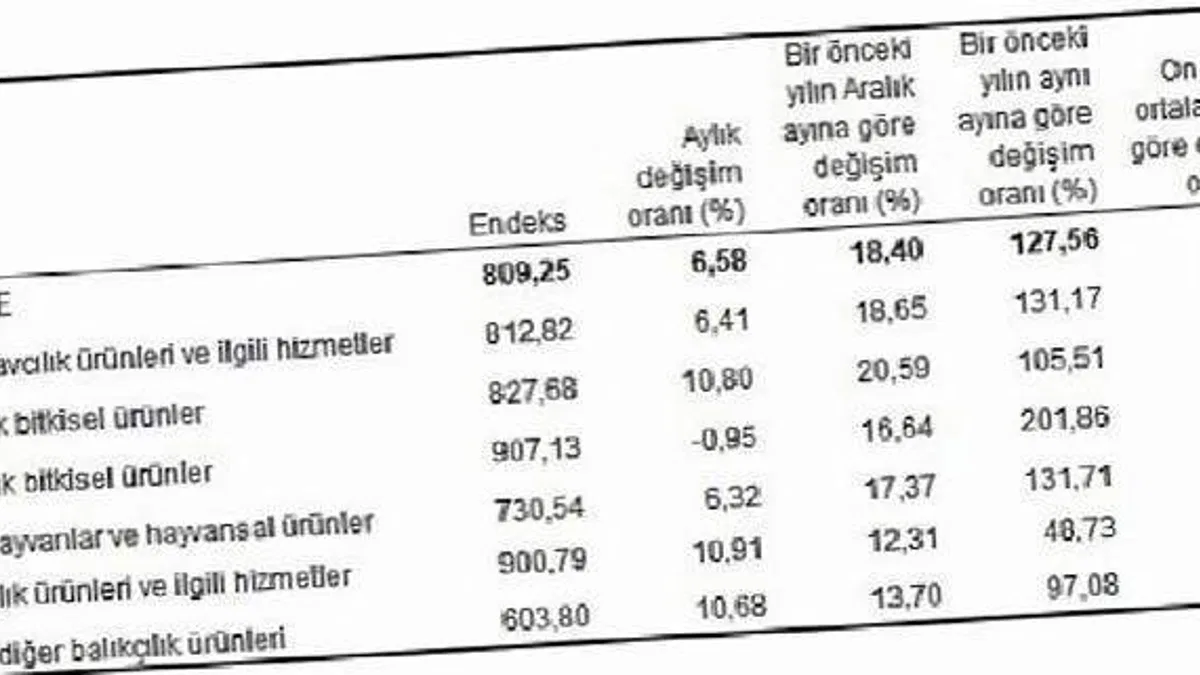 Tarım ürünleri üretici fiyat endeksi (Tarım-ÜFE) yıllık %127,56, aylık %6,58 arttı