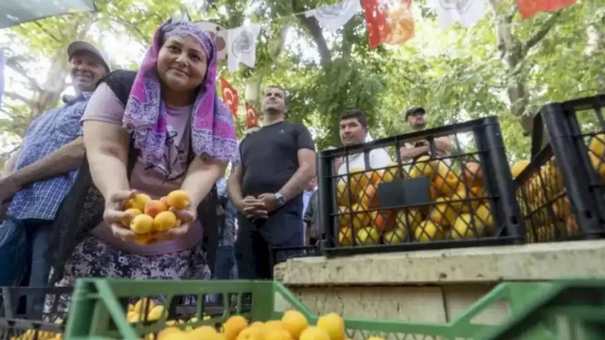 Kayısı Festivali'nde büyük coşku