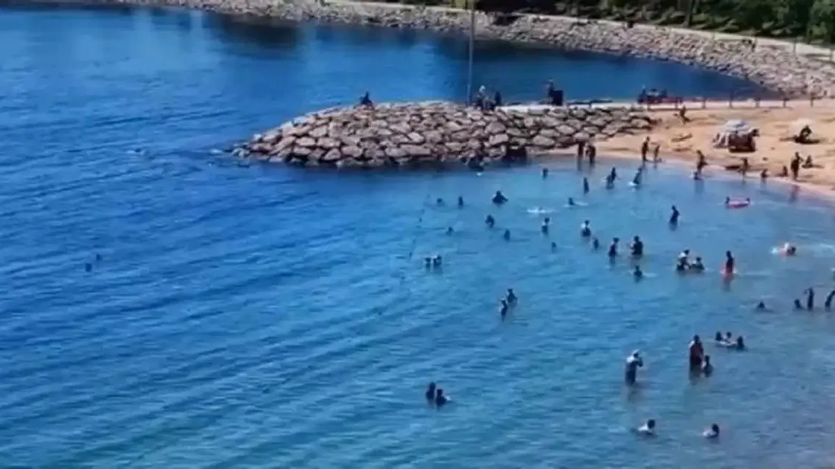 Darıca sahilinde dehşet! Denizden 3 ceset çıktı!