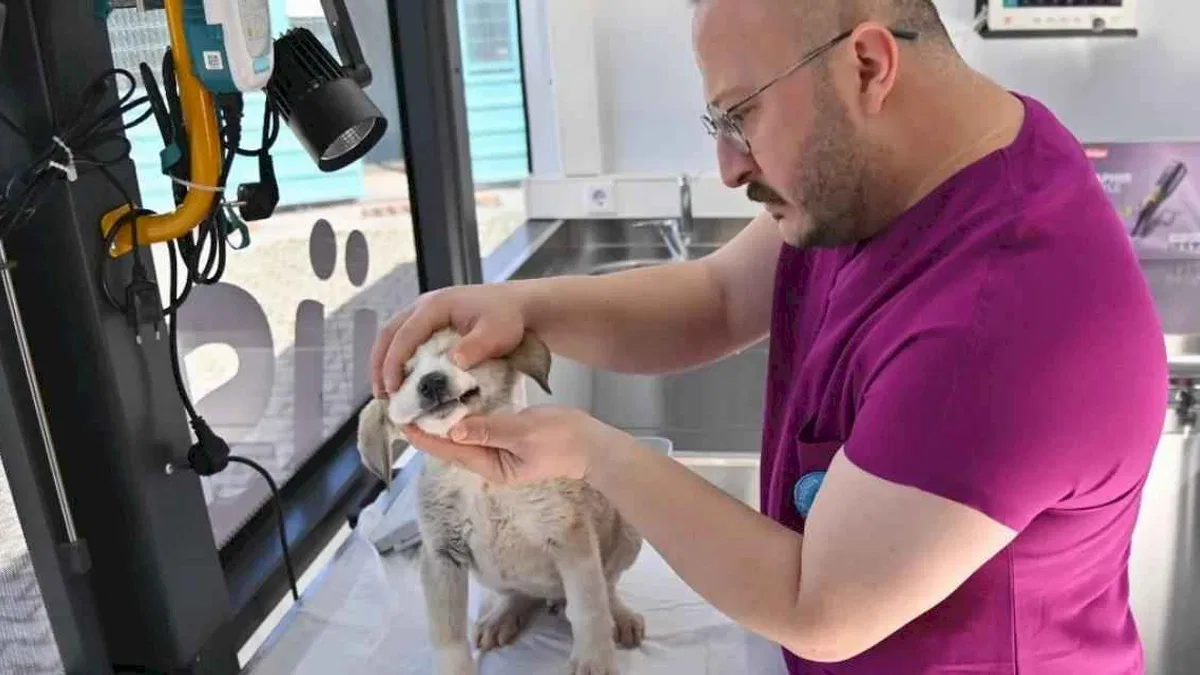 Manisa'da Vetbüs projesi hizmete başladı