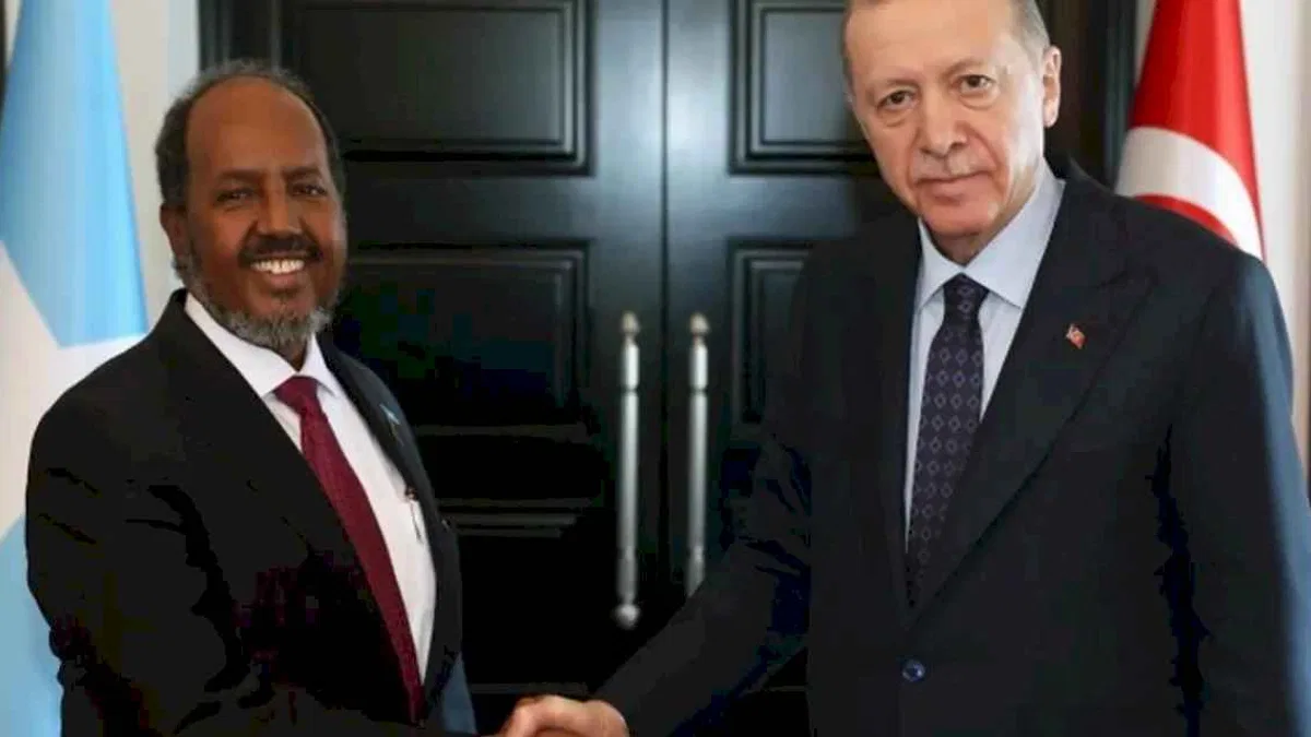 Cumhurbaşkanı Erdoğan Somalili mevkidaşıyla görüştü