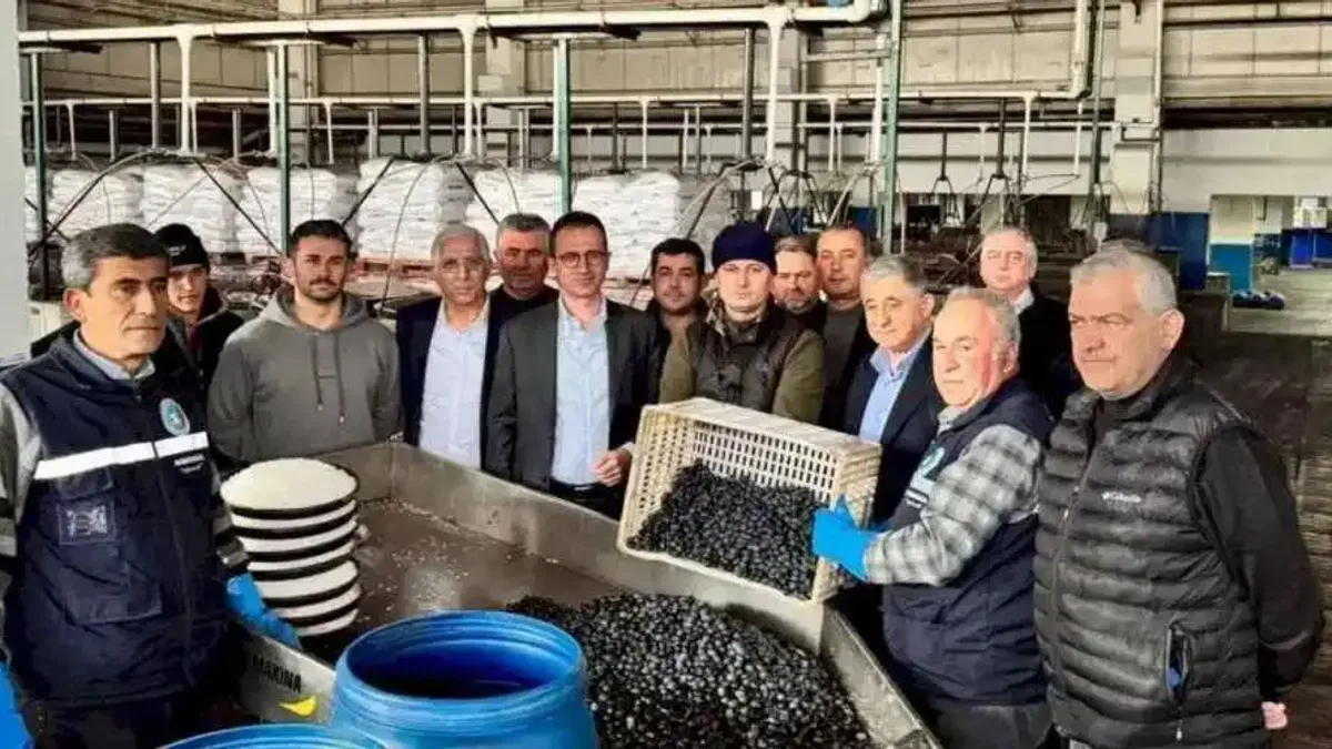 İznik'te Kaymakam Karaman'dan Zeytin Kooperatifi’ne ziyaret