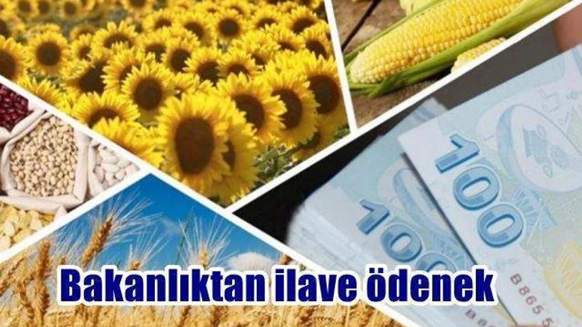 Tarımsal destek ödemelerine 115 milyon lira daha eklendi