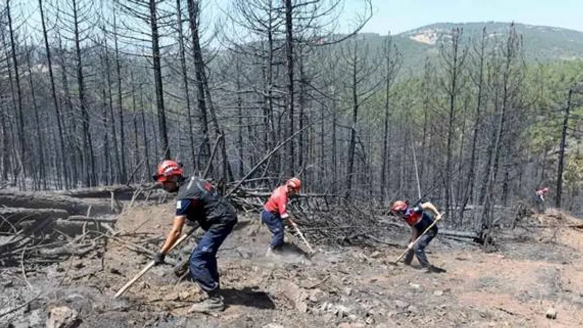 Bursa'da orman yangınlarına OSAD'dan koordineli müdahale