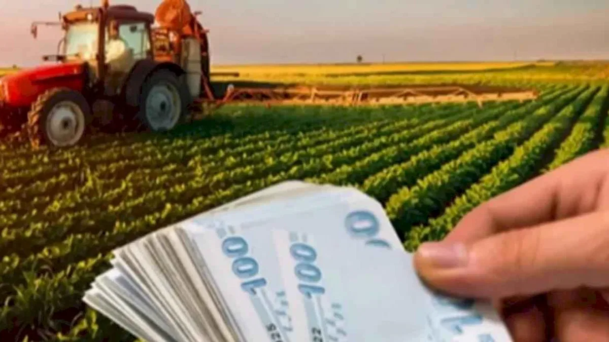 2025 bütçesinde tarıma 706 milyar TL ayrıldı