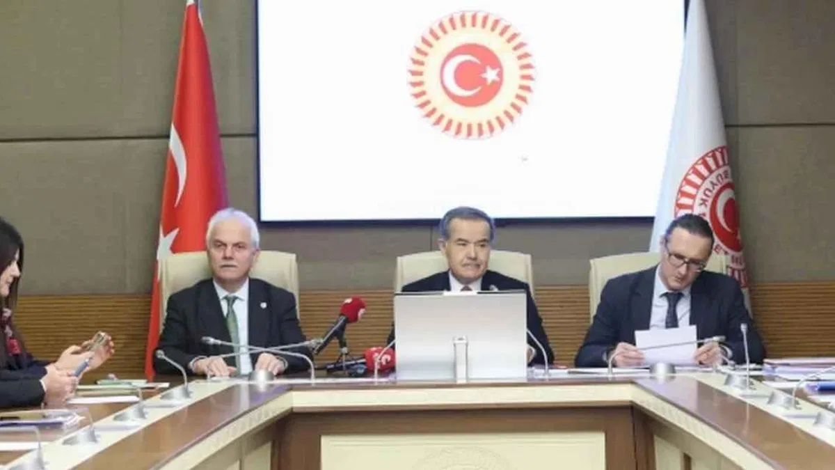 Çocukların şiddet ve istismardan korunmasını araştıran komisyondan son toplantı