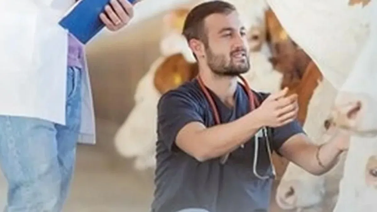 Denizli Büyükşehir’den üreticiye sahada destek