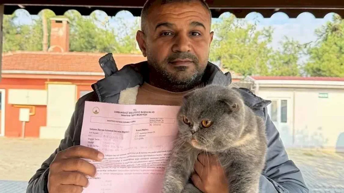 Bursa Osmangazi'de can dostlar sıcak yuvalara kavuştu