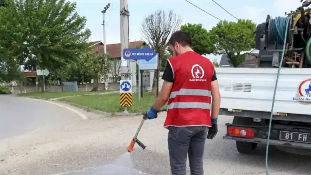 Düzce'de ilaçlama çalışmaları devam ediyor