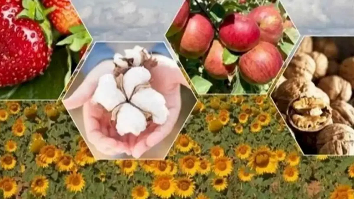 Tarımda zor yıl beklentisi! Bitkisel üretimde düşüş bekleniyor