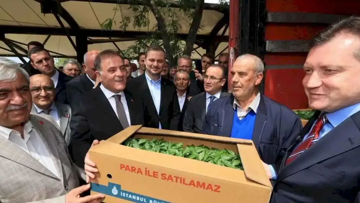 İstanbullu çiftçilere karşılıksız destekler sürüyor