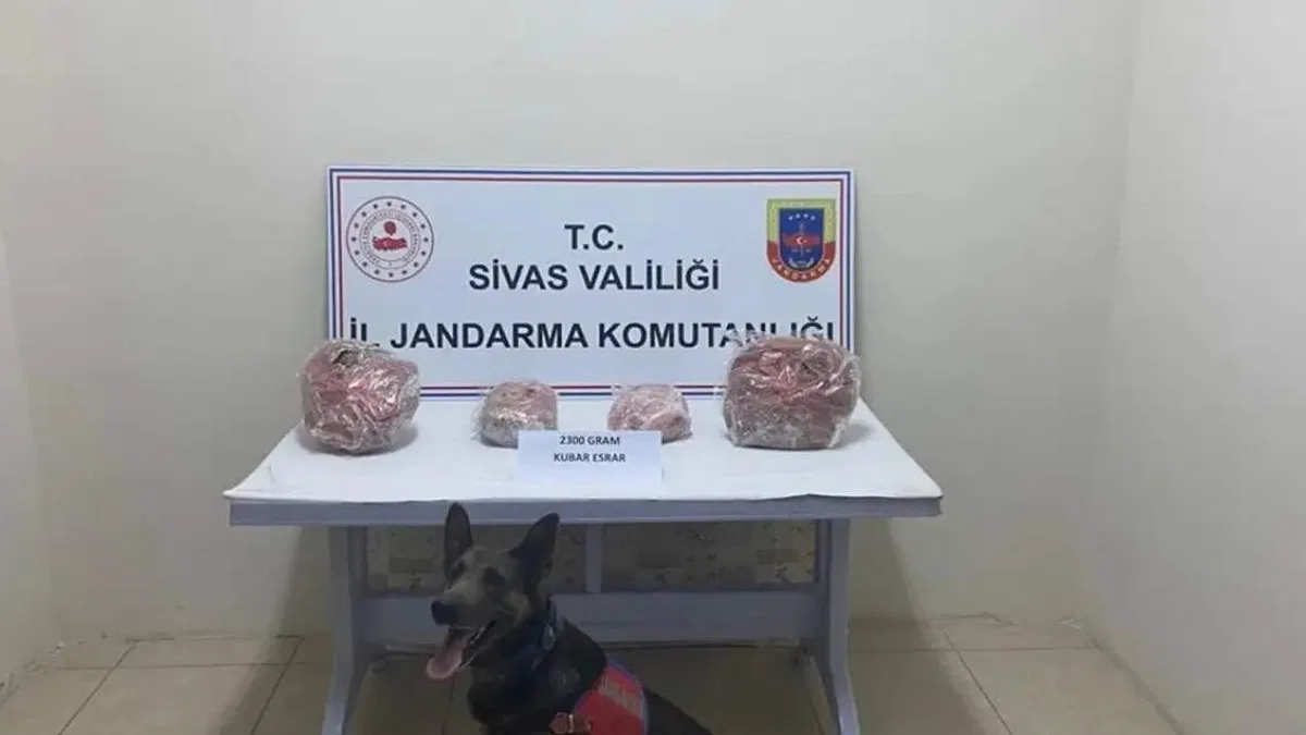 Sivas'ta uyuşturucu operasyonunda 2 şüpheli gözaltına alındı