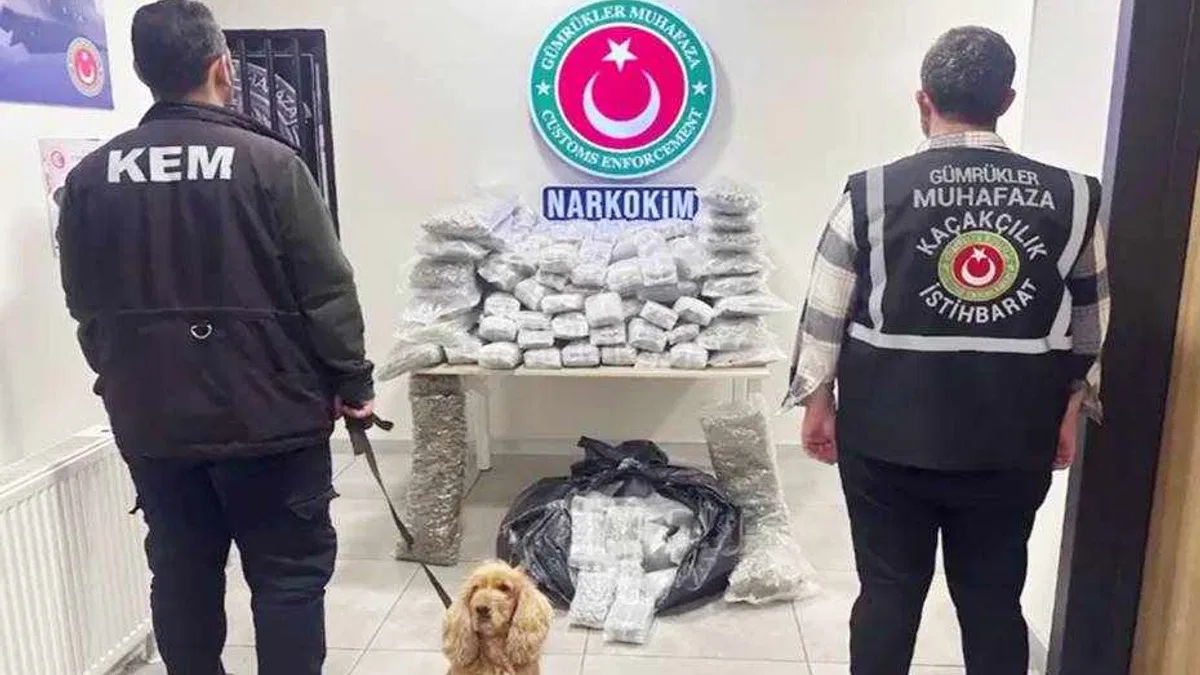 Zehir tacirlerine darbe! 659 kilo uyuşturucu ele geçirildi