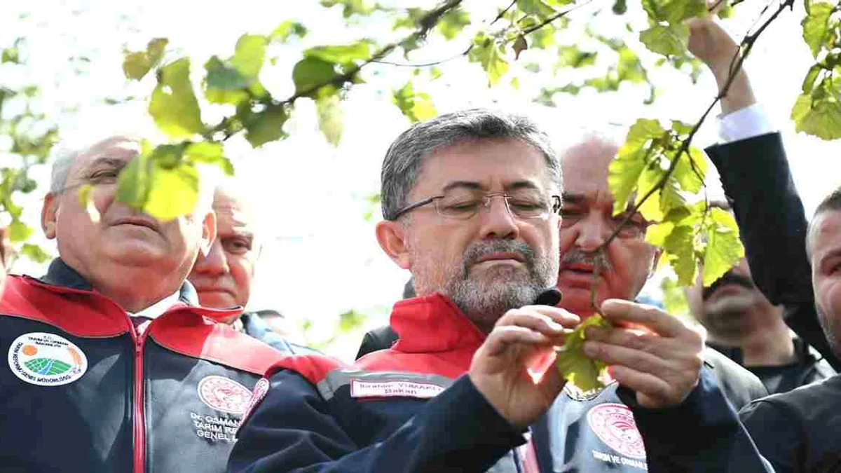 Tarihin en büyük don felaketi