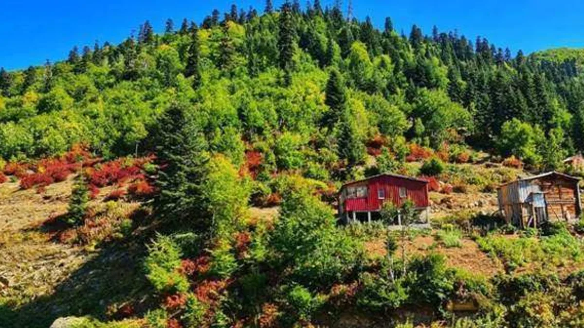 Artvin Macahel sonbahar renklerine bürünmeye başladı