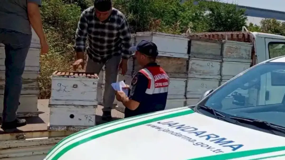 Edirne'de arıcılara önemli uyarı