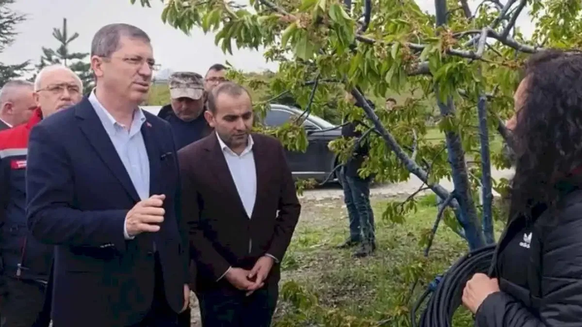 Tokat'ta don felaketi... TBMM gündemine taşınacak