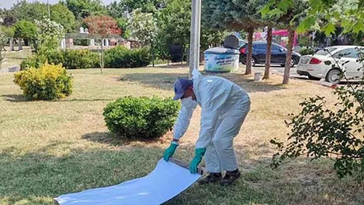 İstanbul Büyükşehir'den kene ile mücadele